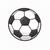 Fotbal