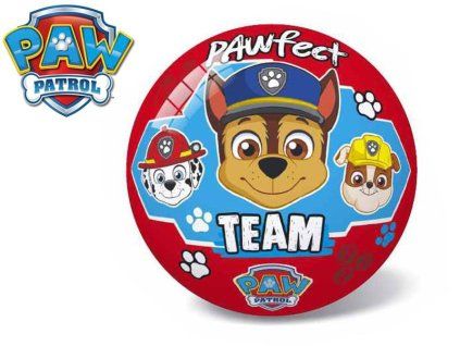 Míč Tlapková patrola Team 20 cm