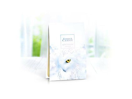 EURONA AIWYSNOW - Parfémová sašetka 125 ml