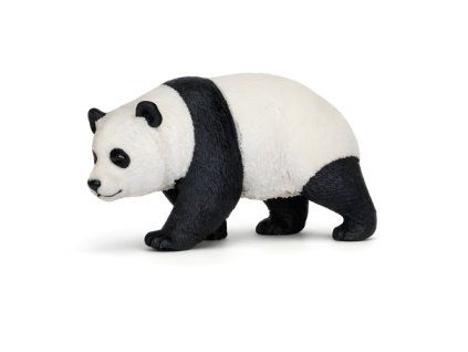 Panda - ZooLandia