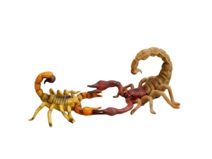 Zoolandia Škorpión a mláďa