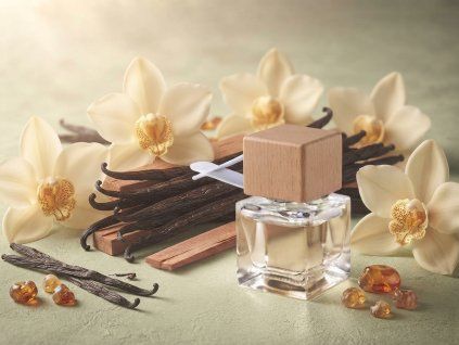 Aroma Art - Difuzér do auta na klip 8 ml - Vanilla