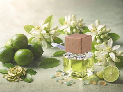 Aroma Art - Difuzér do auta na klip 8 ml - Lime