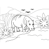 Zvířátkové omalovánky - Vítejte na safari
