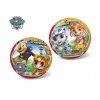 Míč Paw Patrol Cat Pack 20cm