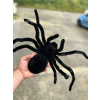 Plyšový pavouk 50 cm