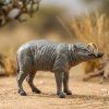 ZooLandia Babirusa