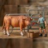 Zoolandia Býk hnědý a farmář s doplňky