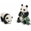 Panda s mláďaťom - ZooLandia