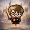 Fóliový balónek Harry Potter 48 x 78 cm