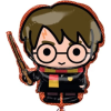 Fóliový balónek Harry Potter 48 x 78 cm