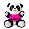 Plyšová panda s farebným tričkom a menom 17 cm