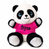 Plyšová panda s barevným tričkem a jménem 17 cm