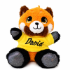 Plyšová panda červená s farebným tričkom a menom 17 cm
