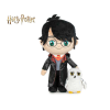 Harry Potter - Harry plyšový 29 cm s Hedvikou