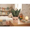 Rostlina Aloe vera v květináči plyšová 27 cm
